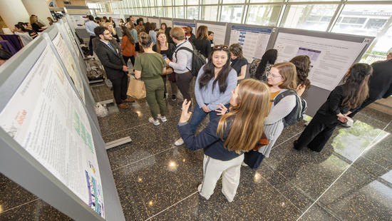 Attendees listen to poster presentations at Global Health Education Day