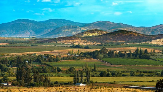 Chile Maule landscape