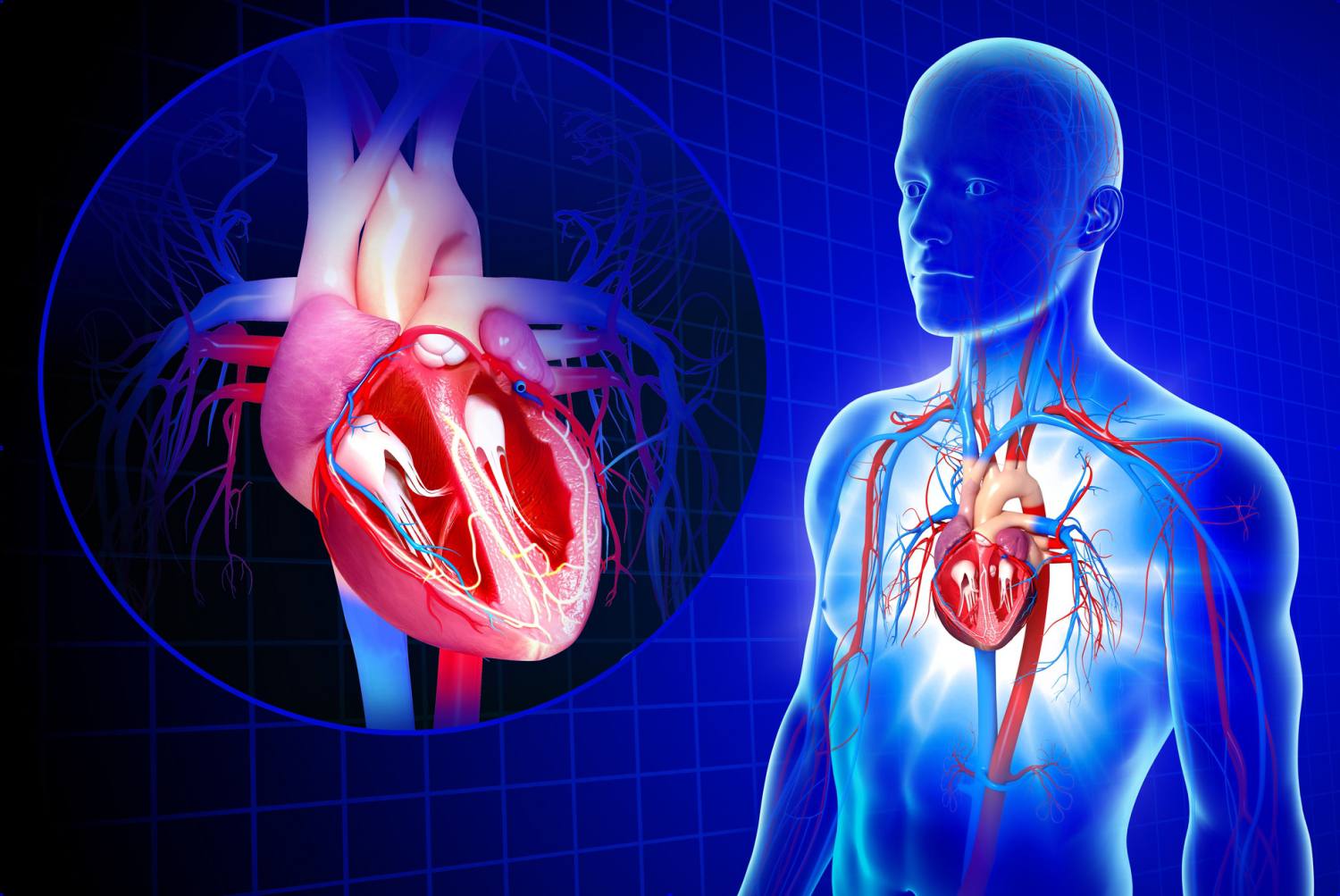 Cardiovascular Research Training in Nigeria (CeTRIN)