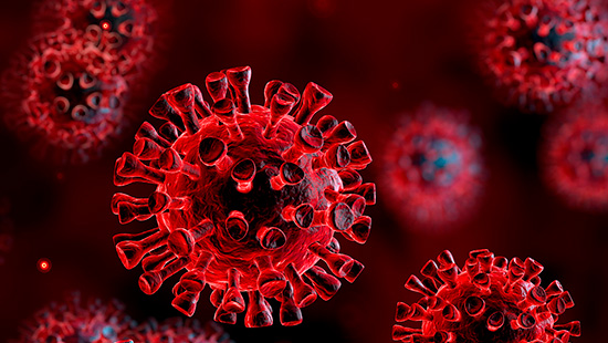 image of covid virus 