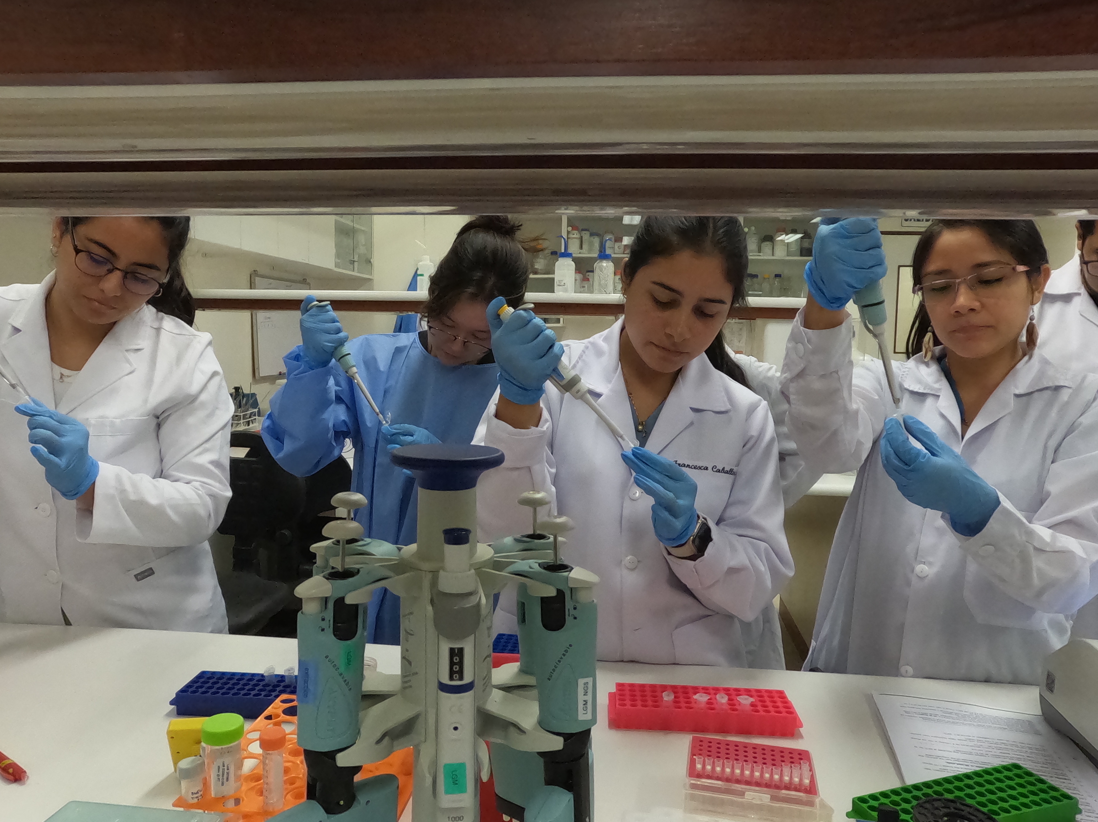 Participants at the training session pipette samples for the Oxford Nanopore sequencer.
