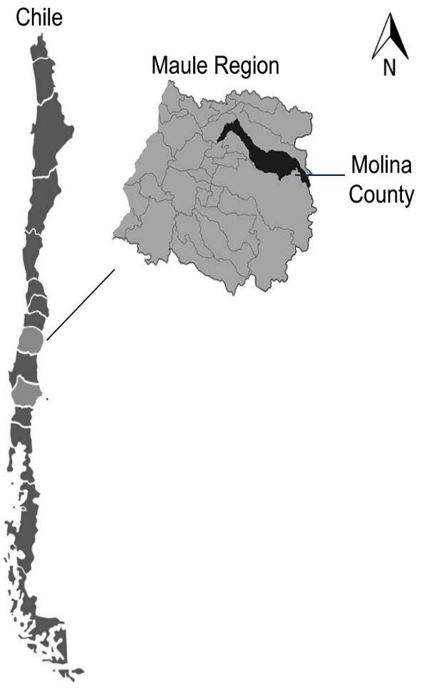 Map of Chile