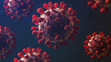 Center for Pathogen Genomics & Microbial Evolution