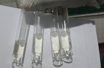 researcher holding test tubes