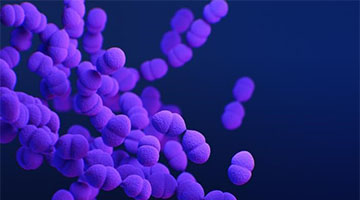 Group A Streptococcus Molecular Epidemiology