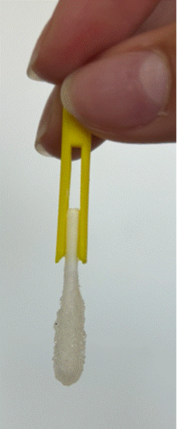 swab capture device